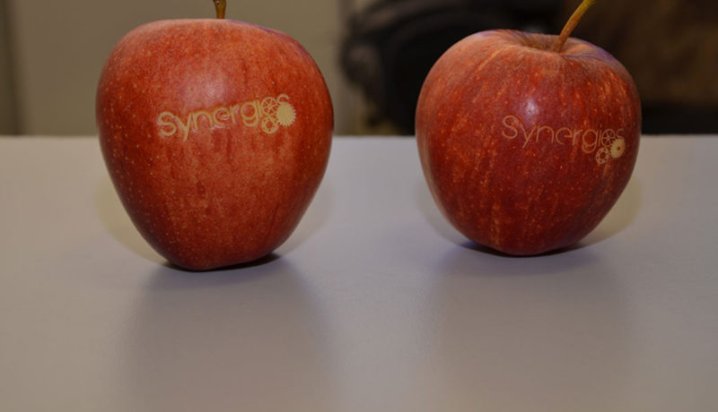 pommes_gravees.jpg